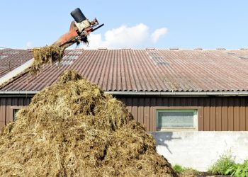 Ministerstwo rolnictwa chce wydłużyć termin na dostosowanie miejsc do przechowywania nawozów naturalnych