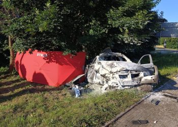 Śmiertelny wypadek w powiecie gnieźnieńskim – nie żyje 22-letni kierowca BMW