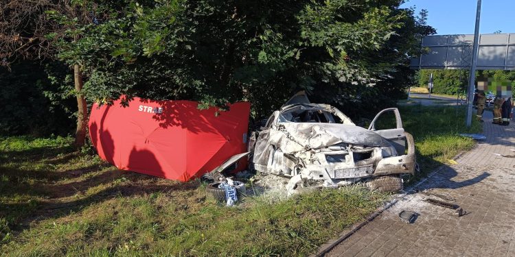 Śmiertelny wypadek w powiecie gnieźnieńskim – nie żyje 22-letni kierowca BMW