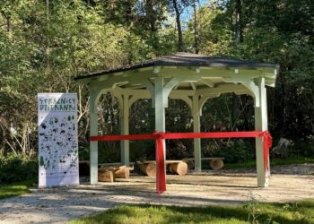 Zabytkowy park przy „Dziekance” odzyskuje blask. Rewitalizacja za 4,5 mln zł otwiera nową przestrzeń do odpoczynku