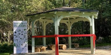 Zabytkowy park przy „Dziekance” odzyskuje blask. Rewitalizacja za 4,5 mln zł otwiera nową przestrzeń do odpoczynku