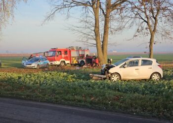 Groźny wypadek pod Gnieznem. 54-latek trafił do szpitala śmigłowcem LPR