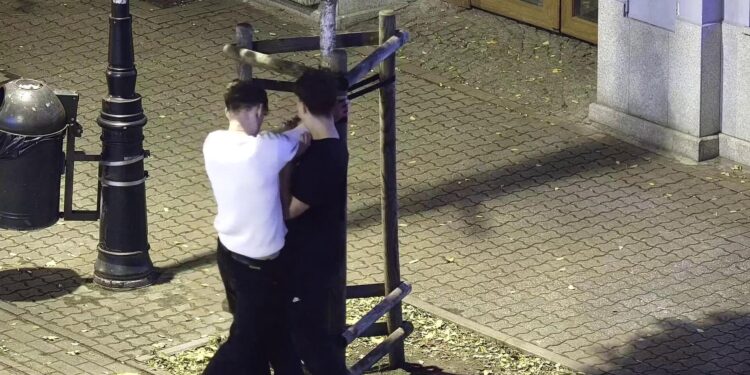 Pijana trójka w akcji: od łamania drzewek, przez publiczne załatwianie potrzeb, po obsceniczne gesty w kierunku policji