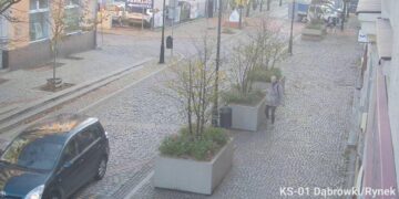 Szukają wandala, który zniszczył płotki i oberwał kwiaty w centrum Gniezna