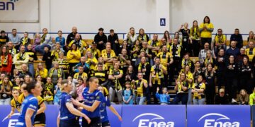 Pszczoły w ćwierćfinale Pucharu Polski