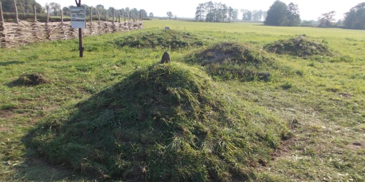 Sekrety kurhanów z Grzybowa. Archeolodzy zdradzają kulisy niezwykłego eksperymentu