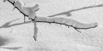 Gdy Polskę paraliżował mróz. „Nie trzeba Bundeswehry, wystarczy minus cztery”