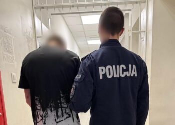 Włamywacz wynosił sprzęt z piwnic i nosił do lombardu. Wpadł, bo pokrzywdzony odnalazł swoją kosę