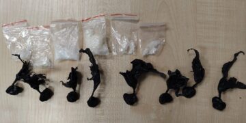 Ponad 130 gramów narkotyków w rękach gnieźnieńskich policjantów. Kobieta z „kryształem” usłyszała zarzut handlu