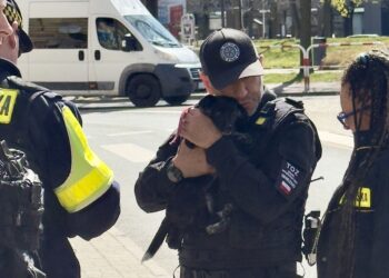 Szczeniak zostawiony sam w domu na kilka dni. TOZ odebrał go w asyście policji (wideo)