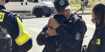 Szczeniak zostawiony sam w domu na kilka dni. TOZ odebrał go w asyście policji (wideo)