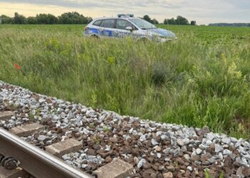 O krok od tragedii na torach w Pierzyskach. Policjanci i maszynista zatrzymali pociąg, by uratować 31-latka!